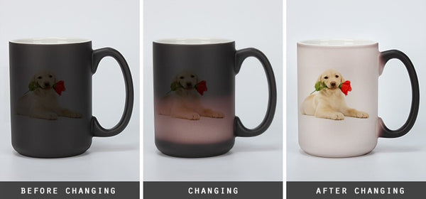 11oz (36 Units) Color Changing Coffee Cup Sublimation Mug Magic Mug